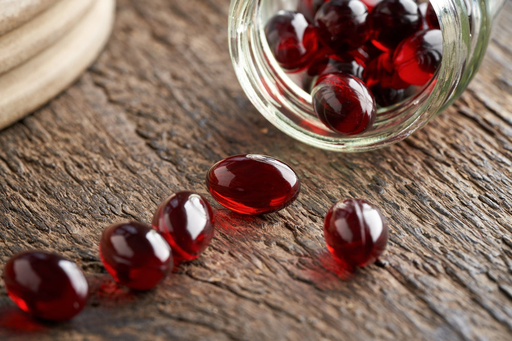 Everything You Need to Know About Krill Oil Supplementation