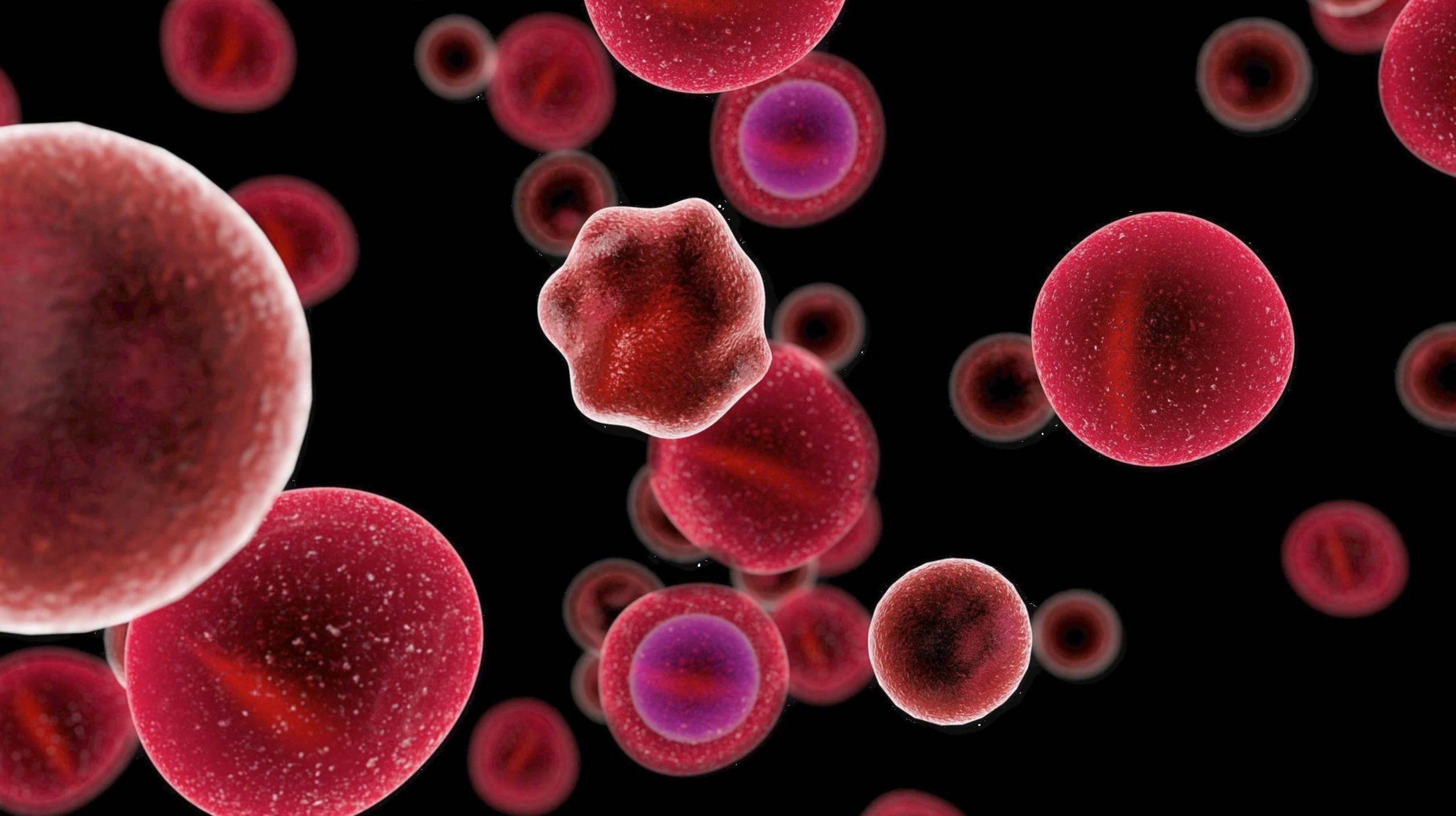 ACGrace - A group of red blood cells on a black background.