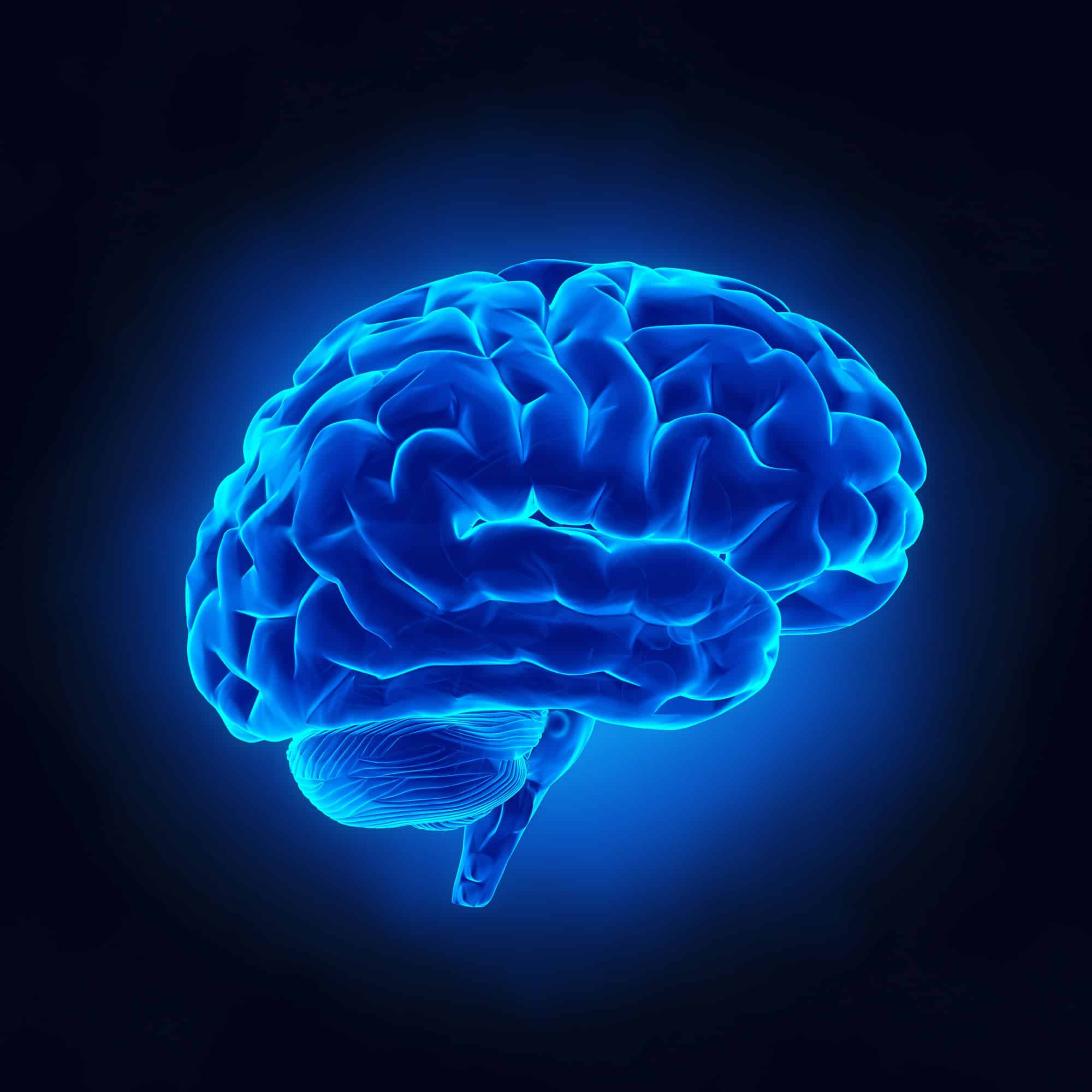 ACGrace – A digital illustration of a human brain in glowing blue on a dark background, showing detailed folds and structure. ACGrace - A digital illustration of a human brain in glowing blue on a dark background, showing detailed folds and structure.